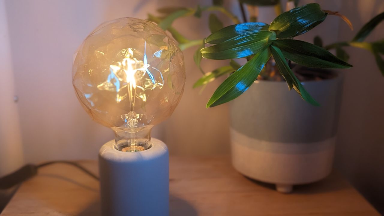 obrázek lampy a rostliny